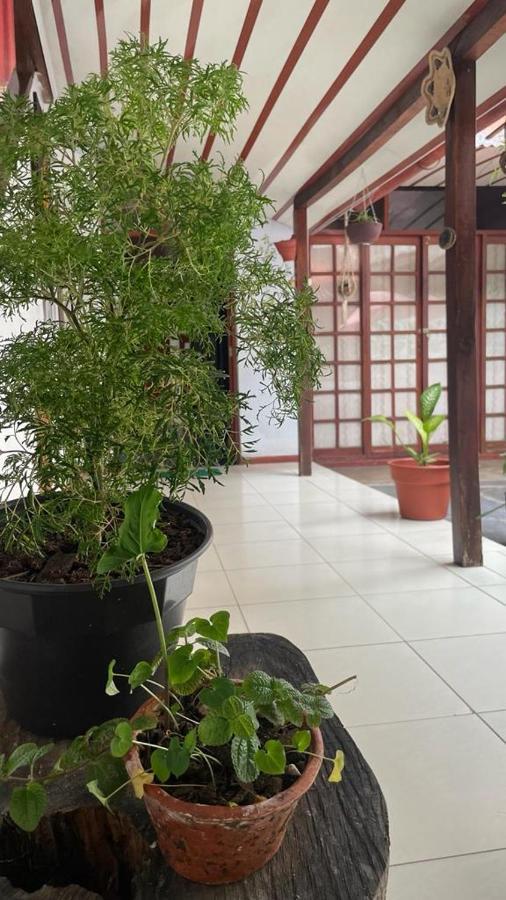 Hospedaje Casa Amazonica Икитос Екстериор снимка