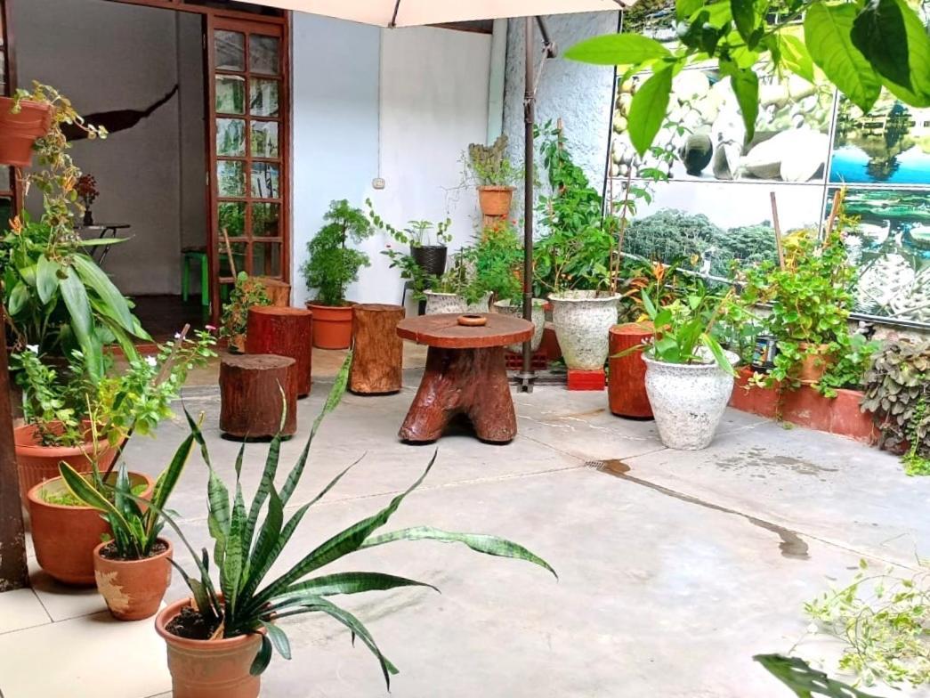Hospedaje Casa Amazonica Икитос Екстериор снимка